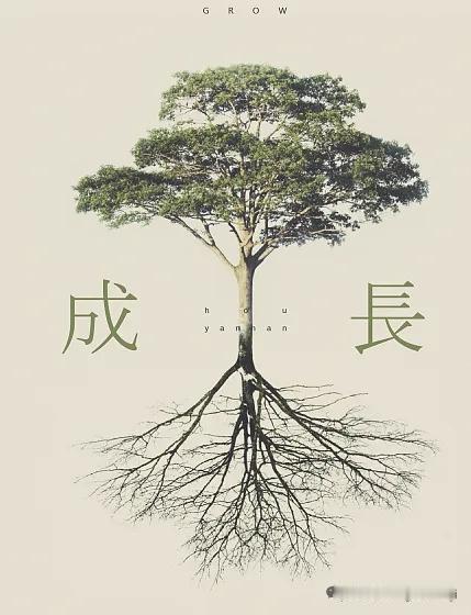 三十万，对普通家庭而言，往往意味着数年的省吃俭用，甚至是一代人弯下的脊梁。但当这