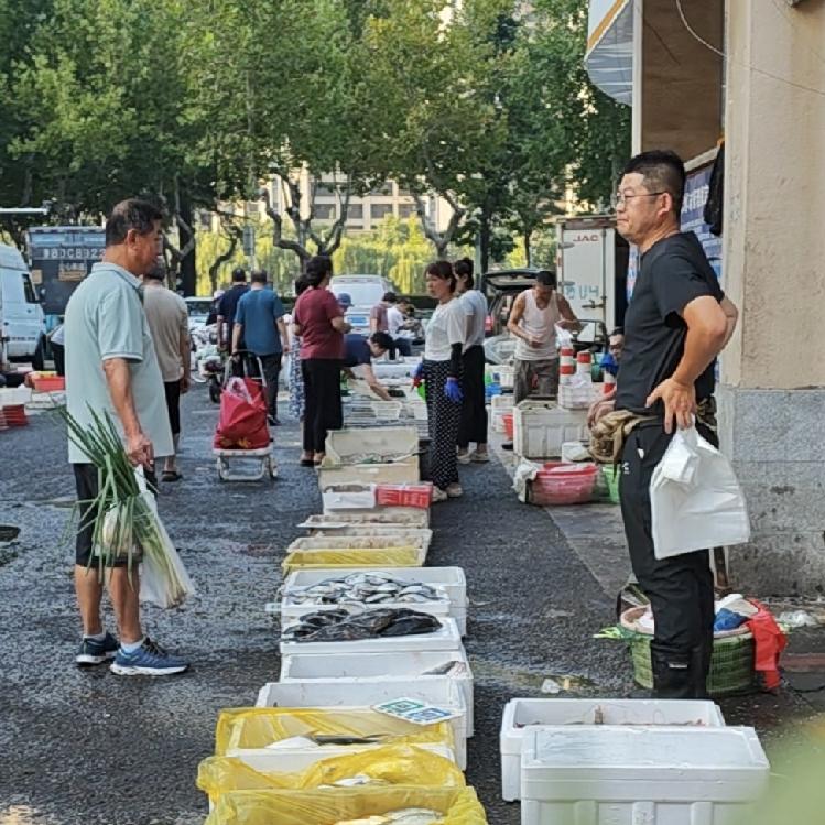 一早出门，逛逛早市，把吃的喝的买回家，然后就可窝起来。
近期，海鲜市场上海货基本
