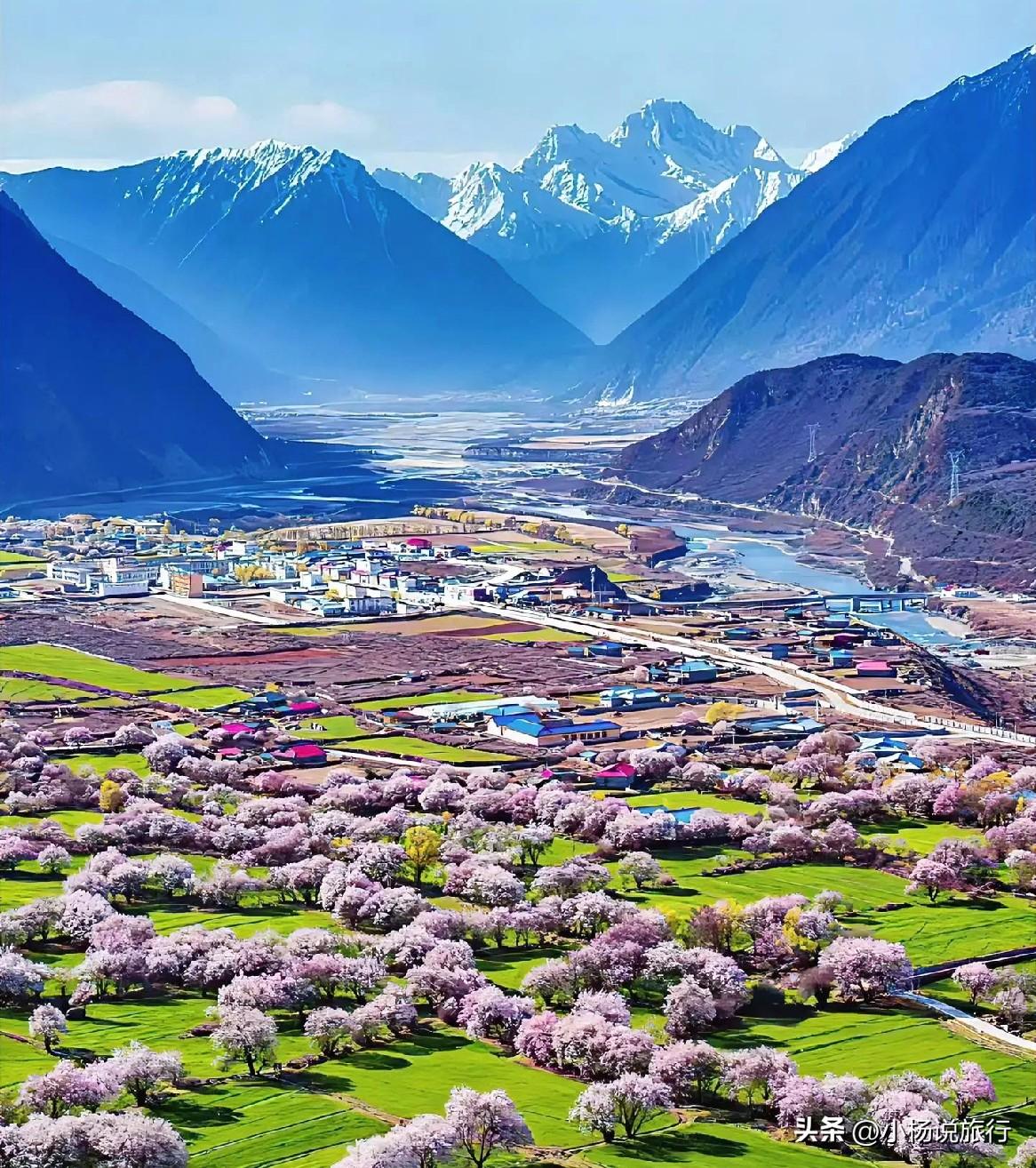 2026年4月份国内适合去旅行的10个地方，看看你去过几个？

1. 西藏林芝：