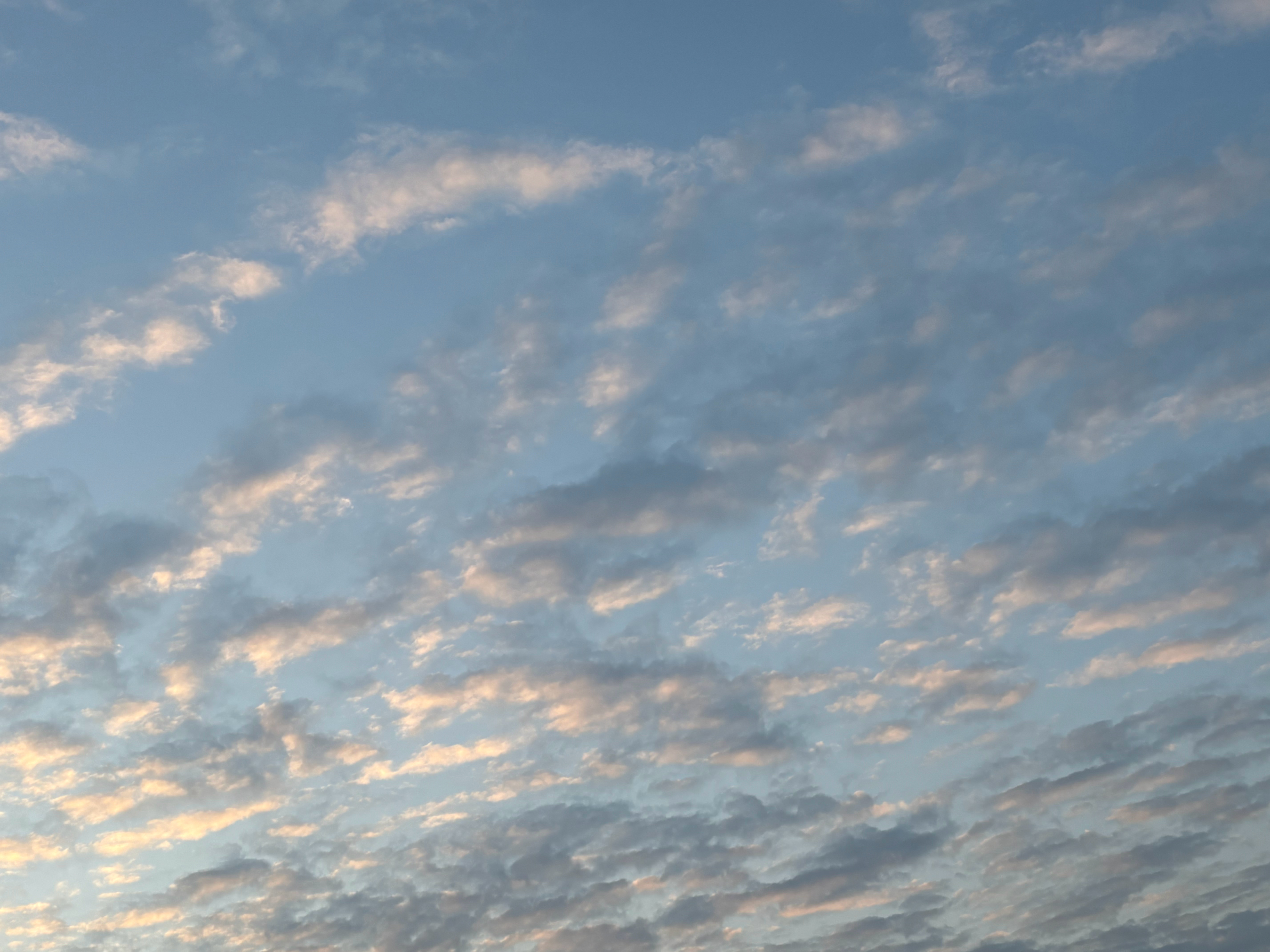 上周来早结果没带钥匙这周来早停电了 