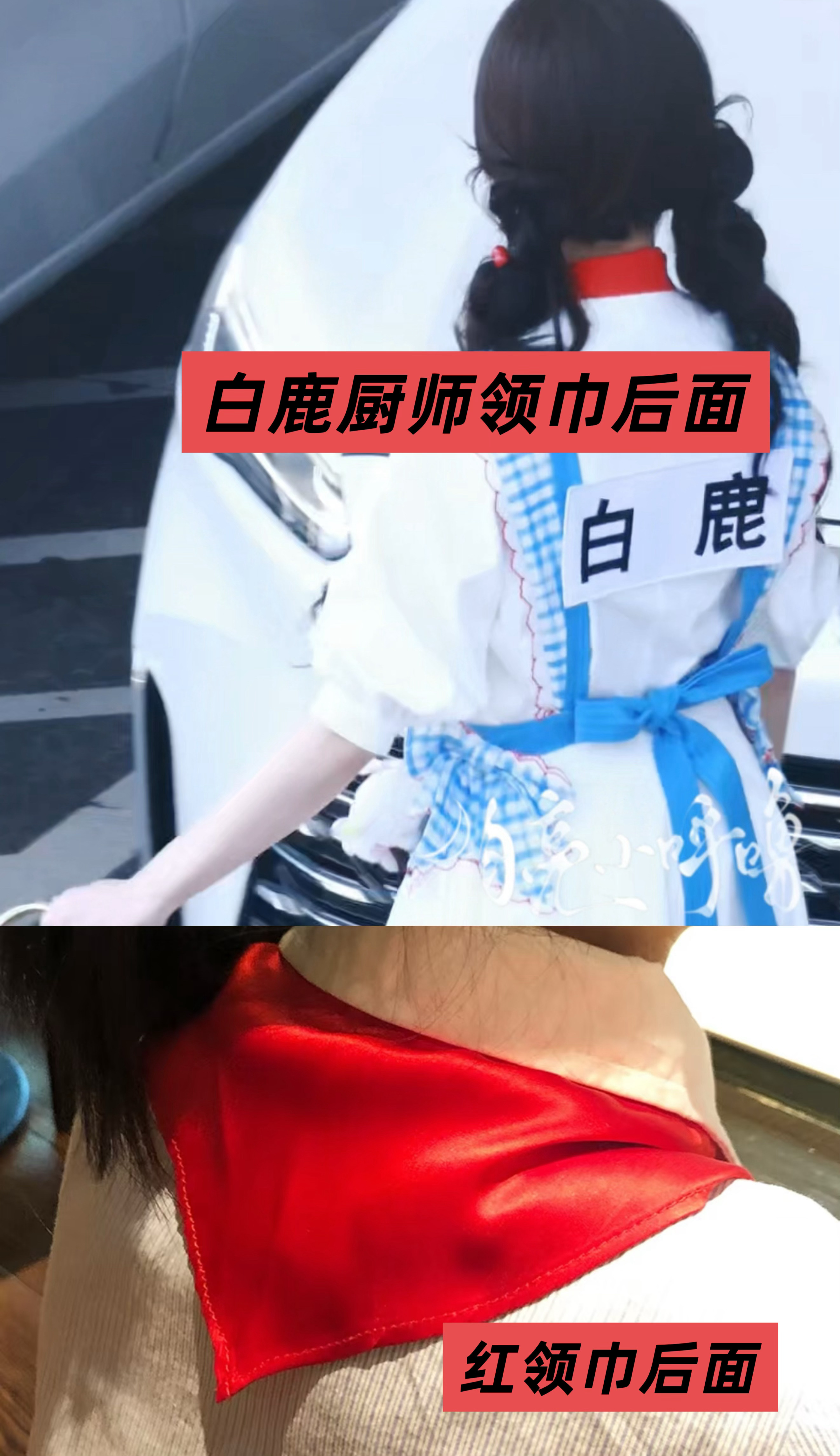 白鹿 厨师领巾➡️今天也是知道了新的知识点  厨师领巾分为多种  学徒为红色  