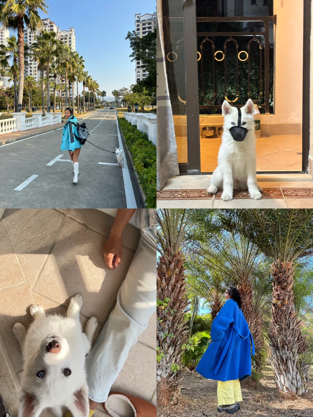 ootd❓上强度了朋友们❗️养了只哈士奇🐶
