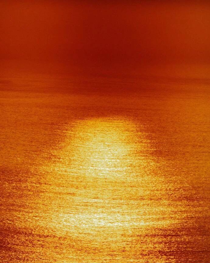 那些如晨曦般闪耀的生命力｜Sebastien J. Zanella ​​​