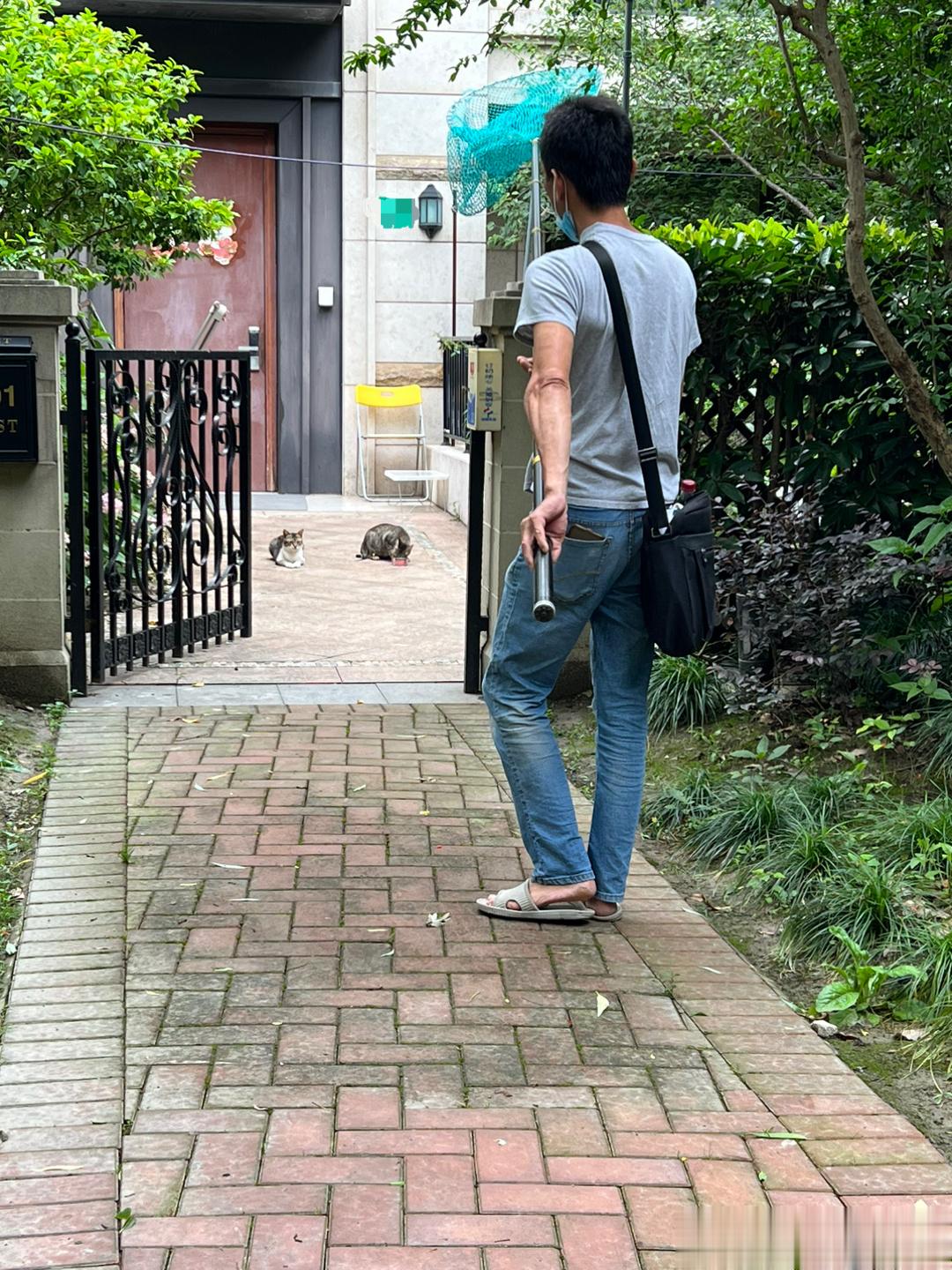 还得靠石头哥！一次抓三只！下午我请假先回家，在家等石头哥的时候心慌的一批，焦虑到
