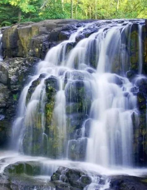 方圆天地，为头条联友对联：
山间水流添画意，
幽径林密生诗情。