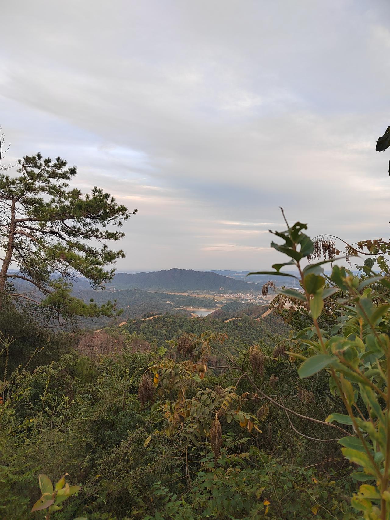 这座山峰，查为丰城祖师岭，海拔250—300米

11月18日下午，初冬时节，于
