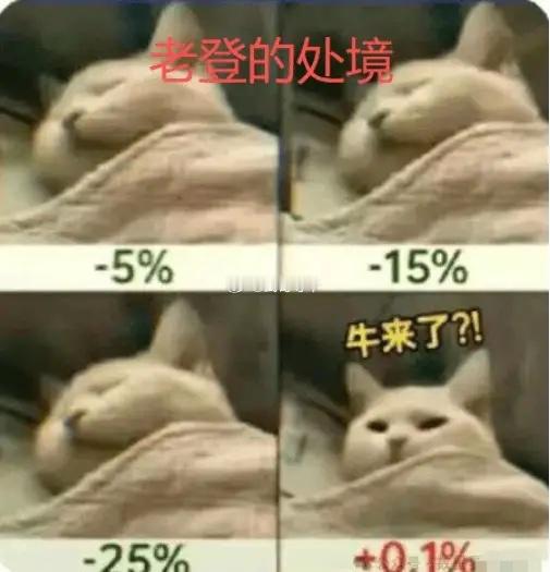 武哥看了下，今年市场真是冰火两重天。目前个股中位数-11.79%，其实挺惨的。但