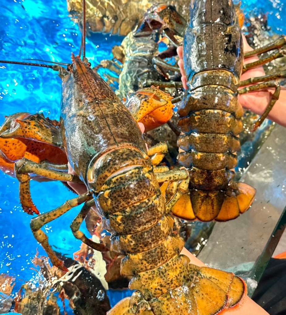 海鲜市场真的在处理海鲜了 名场面终于上线！又搞笑又接地气，主打一个名副其实，烟火