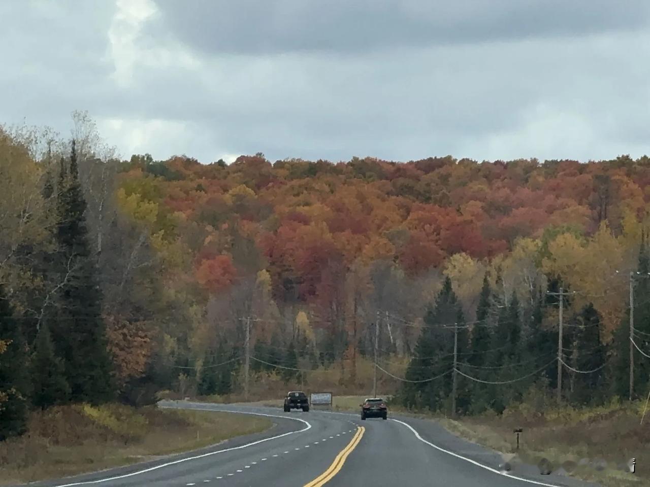 侄女竞选班干部失败了

我高中同学表哥家的闺女小月，今年考入大学读大一，开学之初