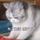 胖呆热看娱乐