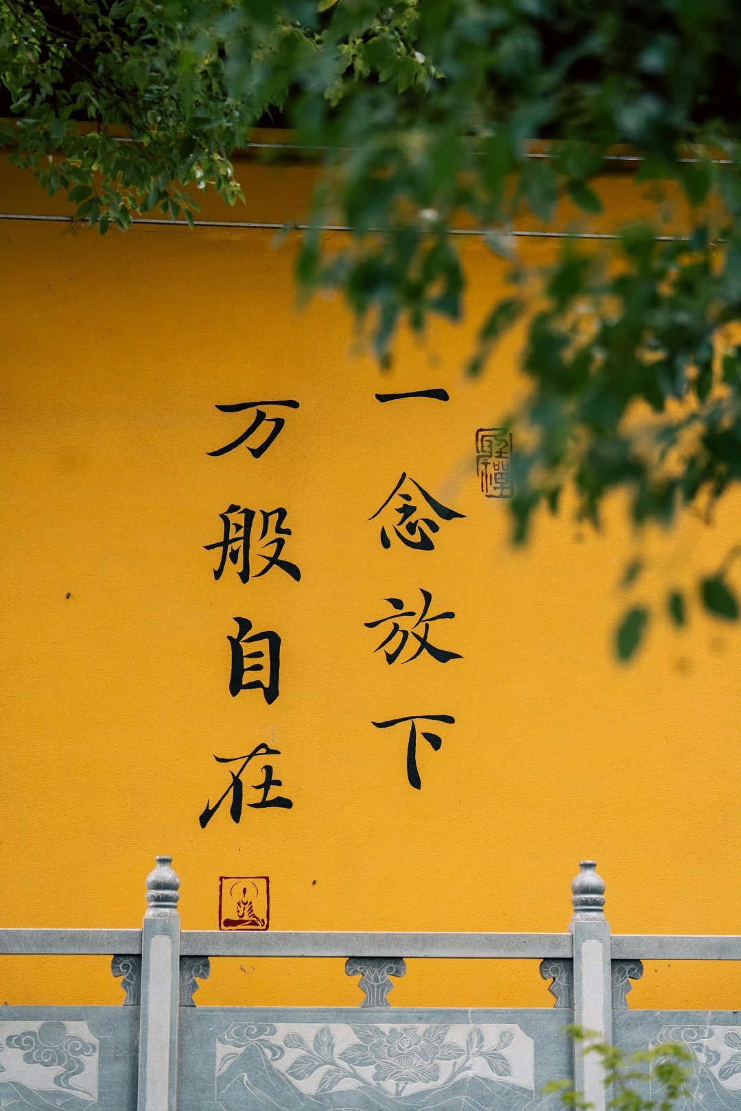 当一个人尝尽了，社会的无情，人心的险恶，经济的压力，婚姻的不堪，你终会领悟到，放