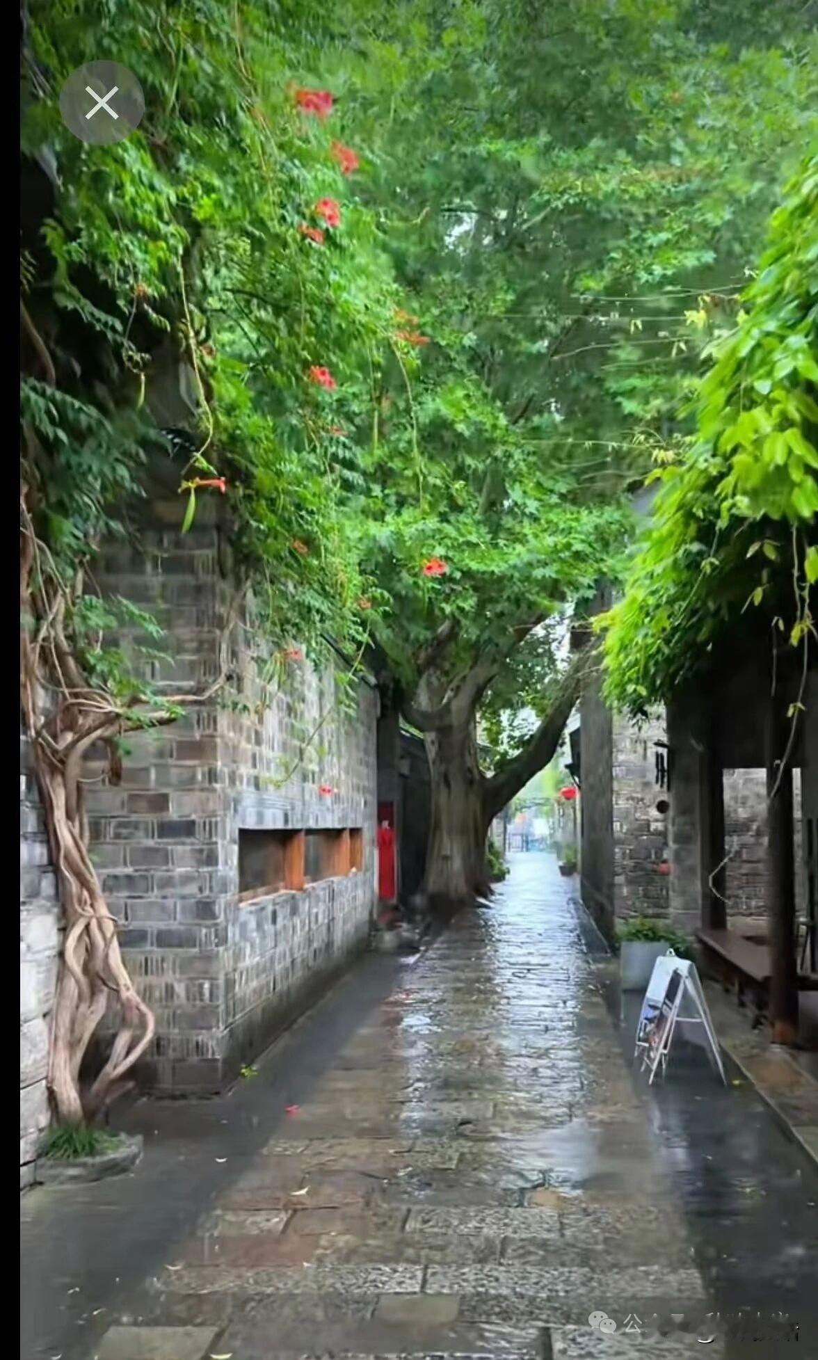 一到过节，我们都喜欢给亲朋好友发祝福短信。新年快乐、端午安康、中秋吉祥…清明节，