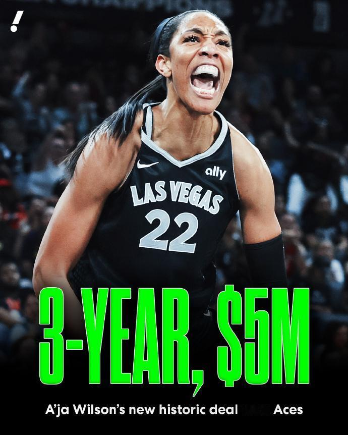 阿德巴约：3年1.6亿美元
阿贾·威尔逊：3年500万美元

阿贾·威尔逊的合同