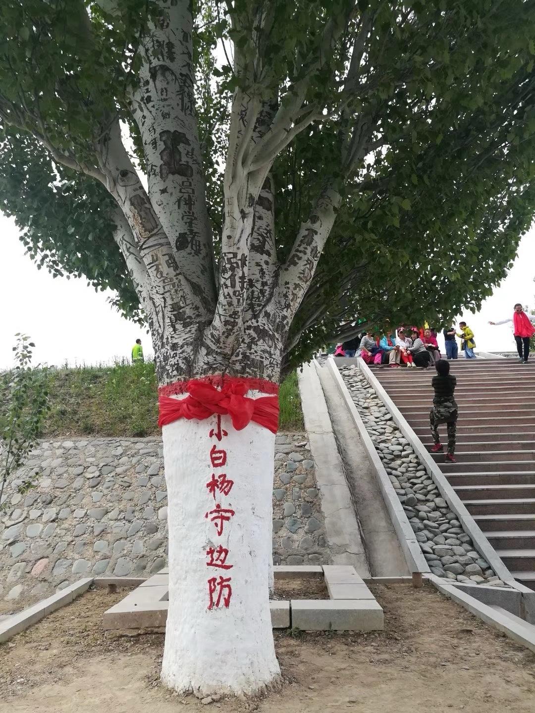自驾游记之意外惊喜-途经小白杨哨所！
        今天从塔城前往阿拉山口市途
