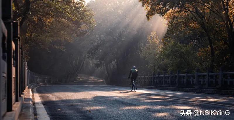 每一个清晨都是崭新的起点，记得带上微笑和阳光，去遇见路上的惊喜。