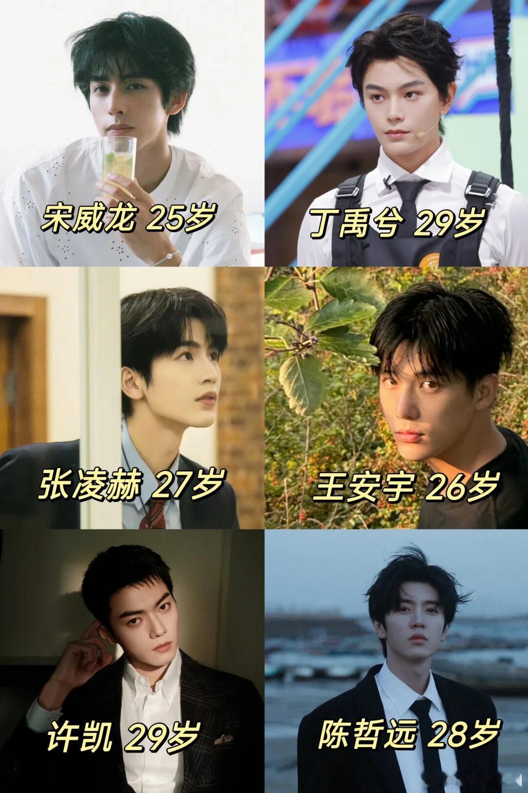 大家最喜欢看哪个演员的电视剧？ 