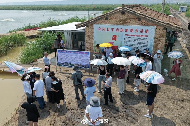 #大河奔涌万象新#【渭南合阳：鱼虾混养“激活”渔场活力 焕新产业生机】好水才能养