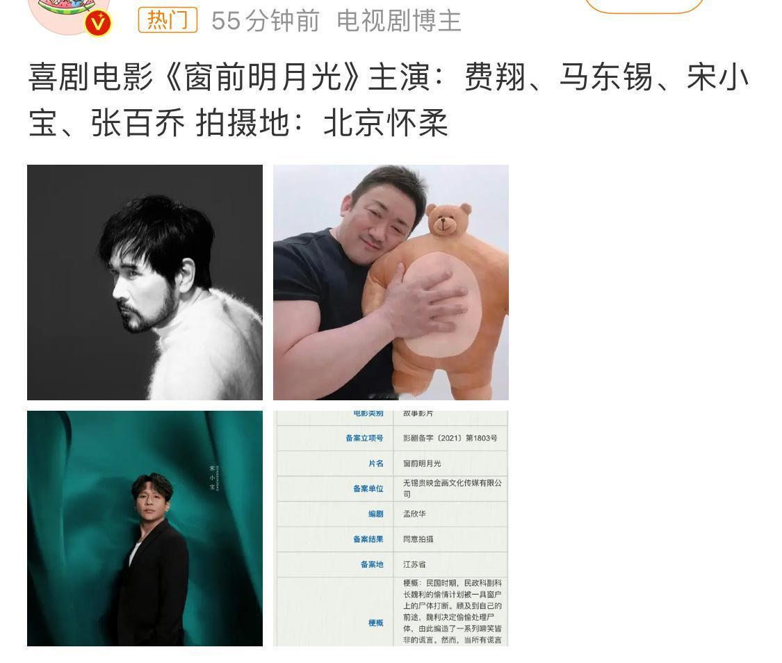 这是我看到最新奇的电影阵容，费翔、马东锡、宋小宝、张百乔这几个人凑到一起，想想都