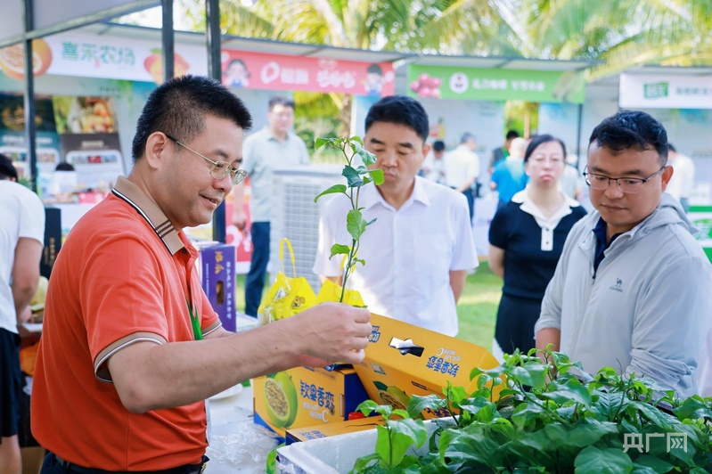 潮起海之南丨热带水果产业何以成为海南自贸港深化国际合作的“甜