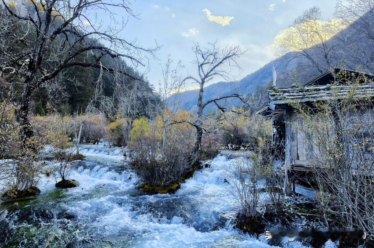 上周在外婆家的山坳里住了三天，才算真懂了“山间小溪潺潺流，古木小屋静悄悄”是什么