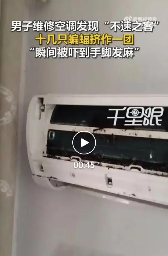 7月3日，浙江嘉兴一户居民家中发生惊险又膈应的一幕。家电清洗师傅何师傅上门为业主