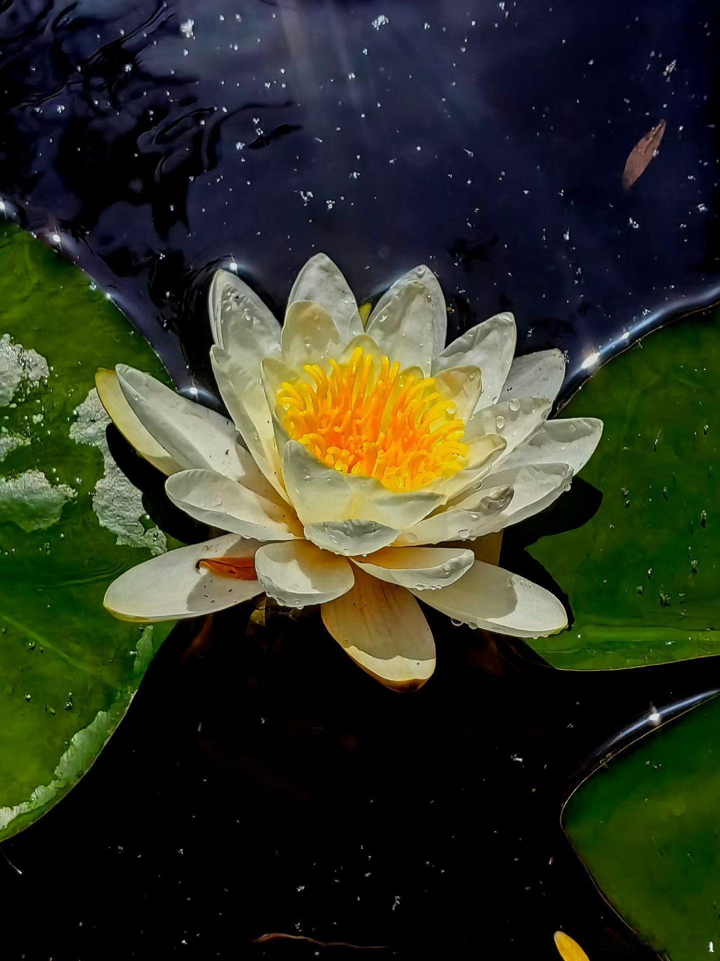 要逃避痛苦，最常见的，就是躲进未来。在时间的轨道上，人们想象有一条线，超脱了这条