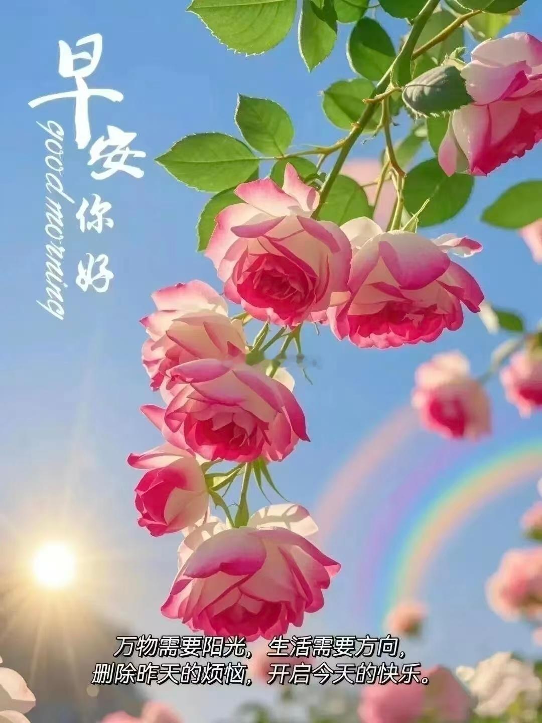 【周四，早安】放下杂念，远离精神内耗， 心怀微光，稳步奔赴心中目标，周四元气加载