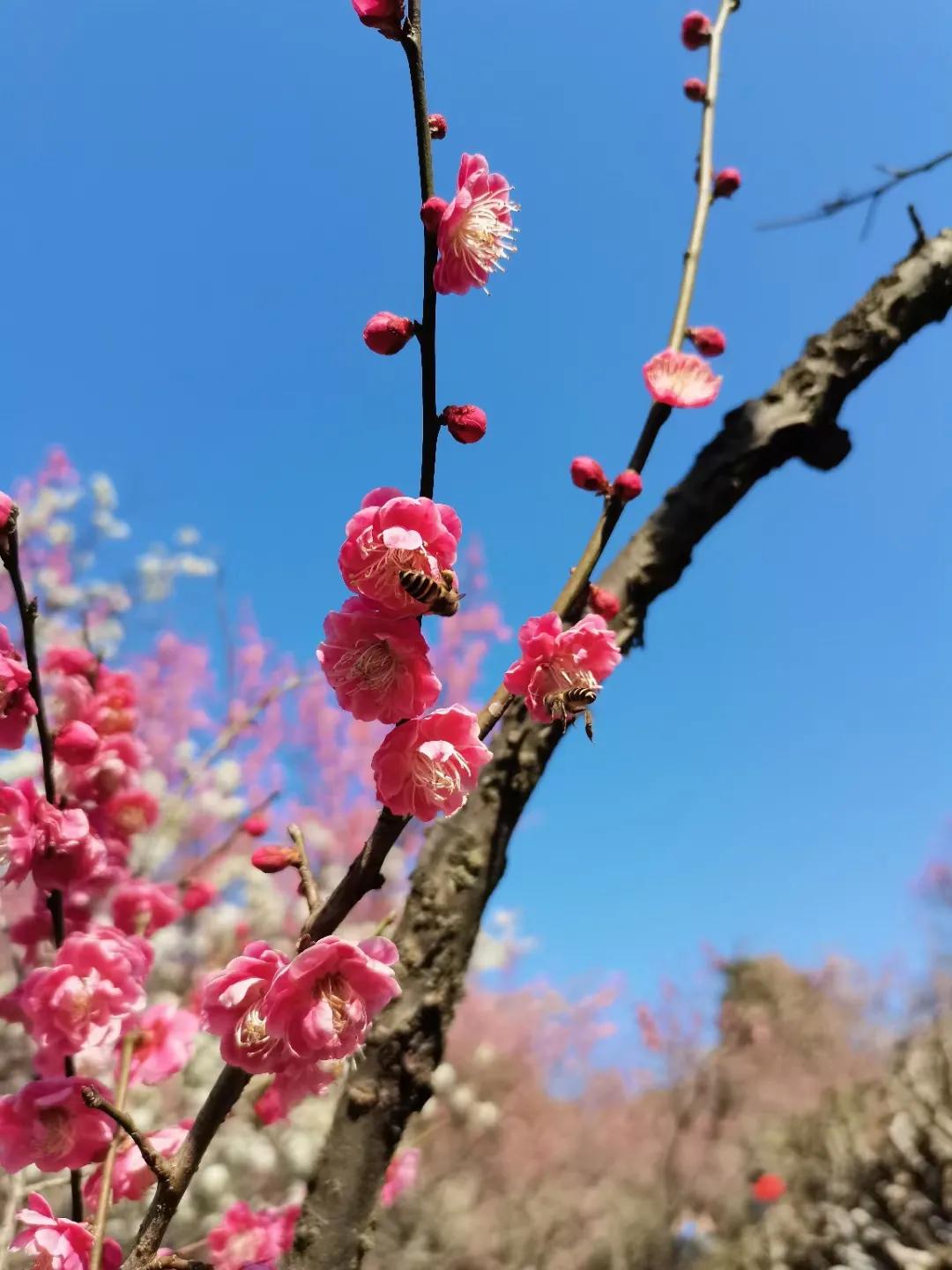 观物而生其心，生其心而动其欲！人的心是万物的反射！就像庄子说的，物来应物，物去不