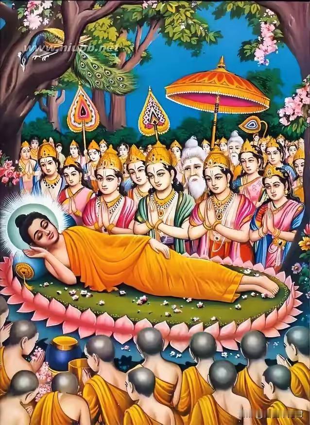 二月十五感怀
涅槃非是断尘缘，转世只为度人间。
身随无常心自在，愿力一念胜业牵。