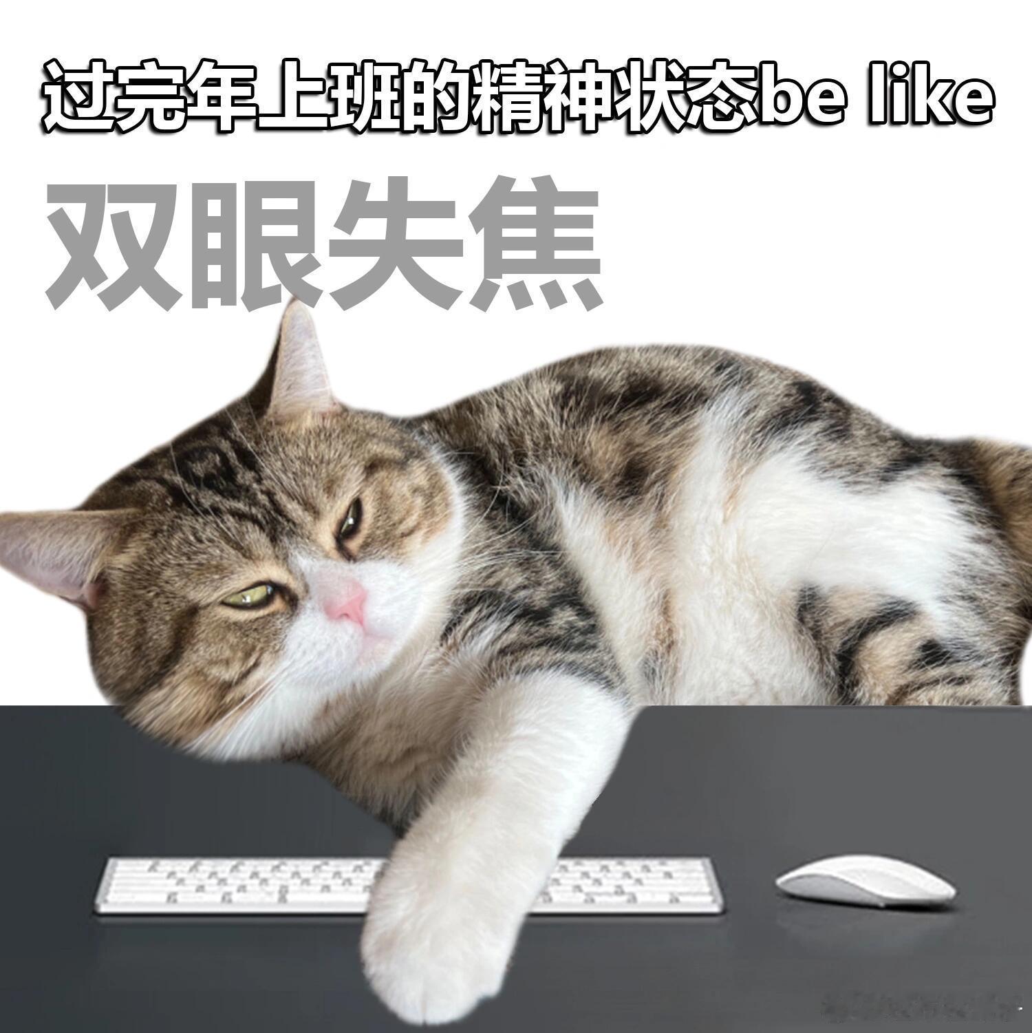 打工人最爱发的表情包走进巴士了  上班第一天的杭州公交竟然没有班味 我今天就是一