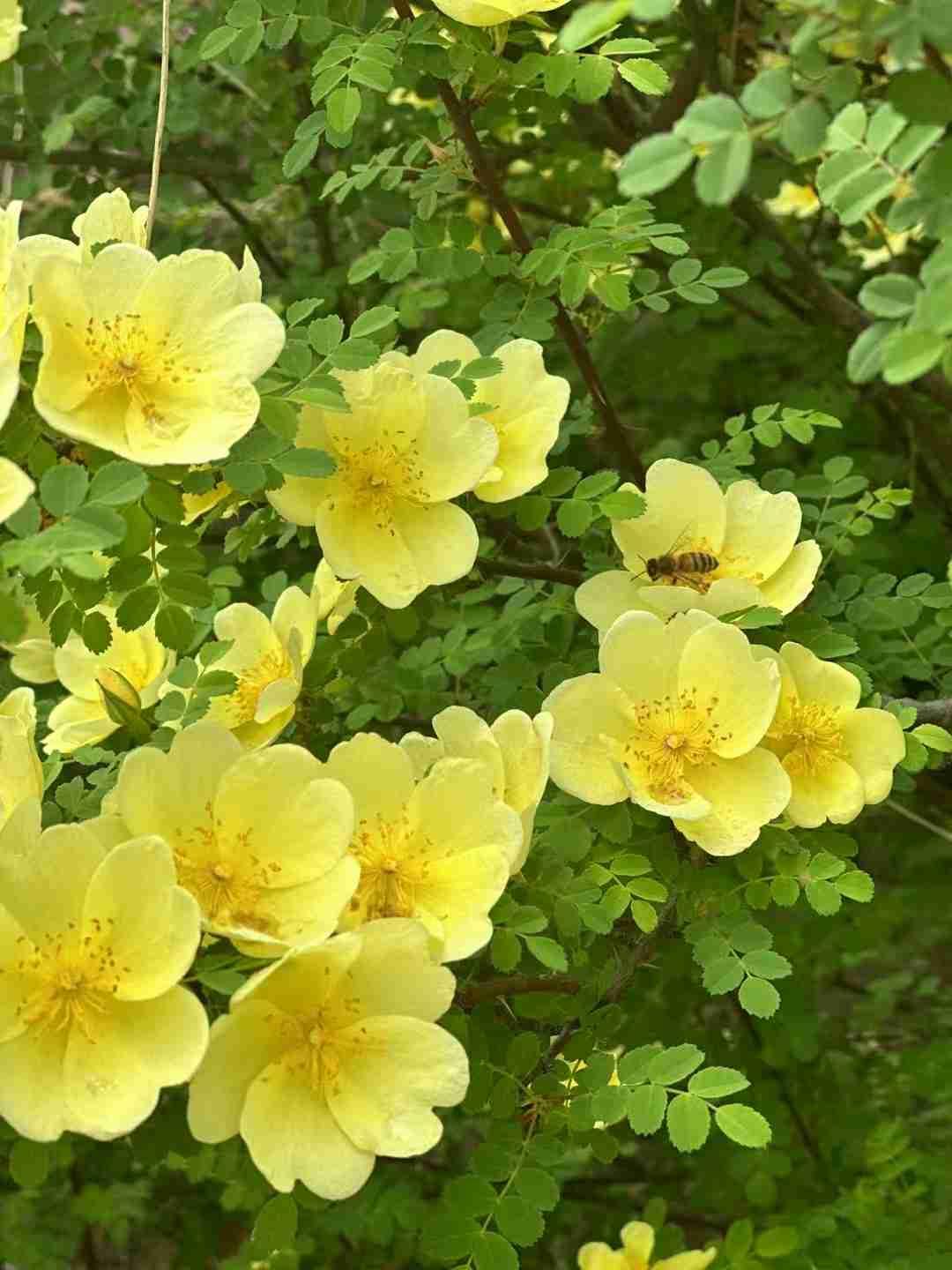 我的今日状态：😁轻松愉快
我这里的天气：☀️晴天