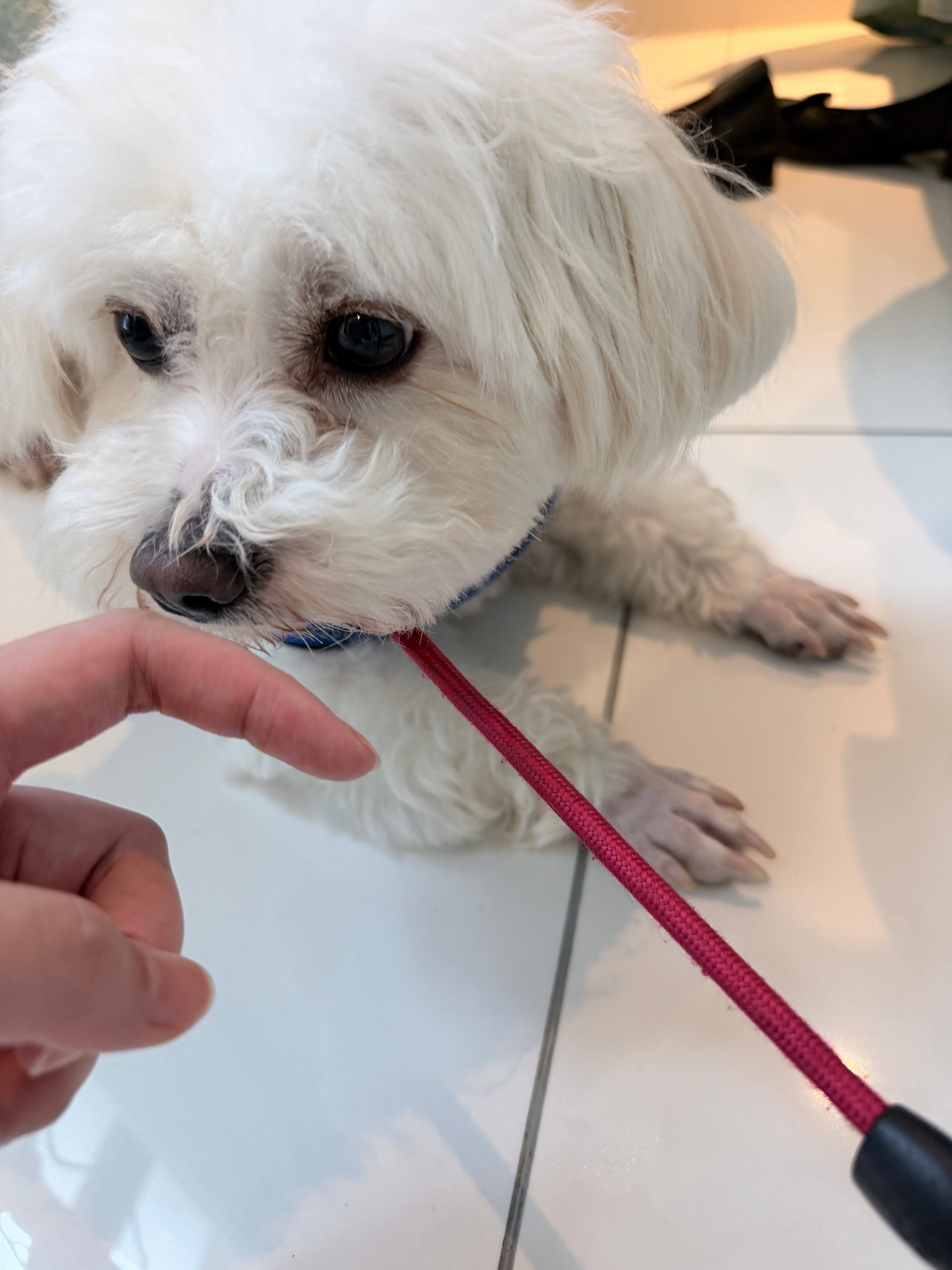 好可爱 想偷走 