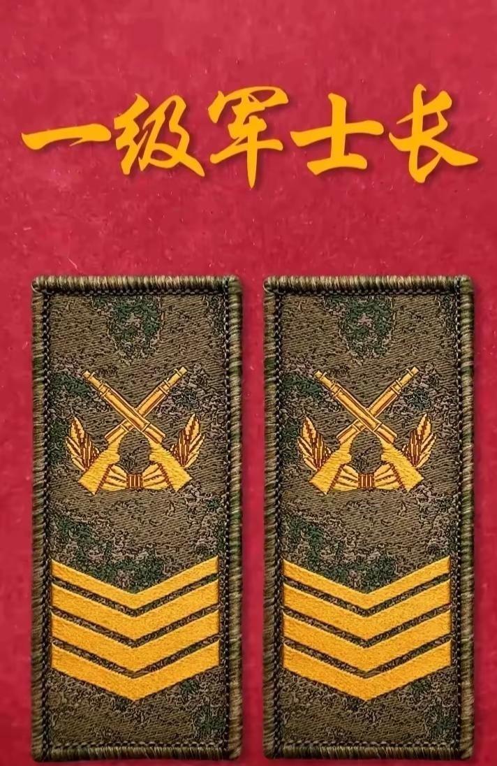 愿坚守在祖国国防一线的士兵闯关独属你们的九级阶梯。
这九级阶梯可不是游戏里打怪升