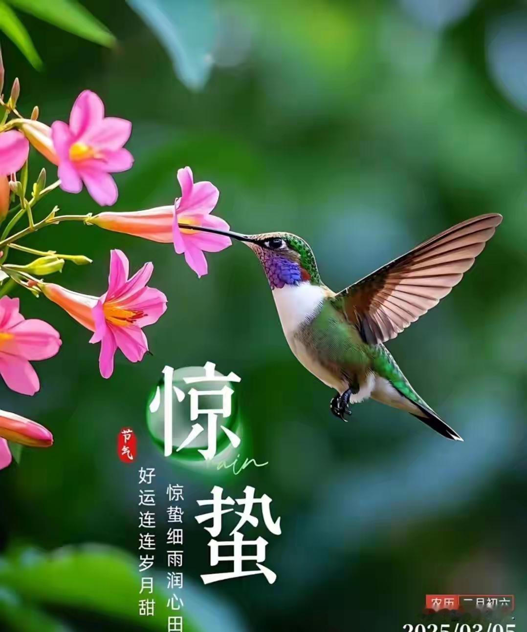 惊蛰时节，真是个充满生机的时段！它一般在公历3月5日或6日，是干支历卯月的起始。