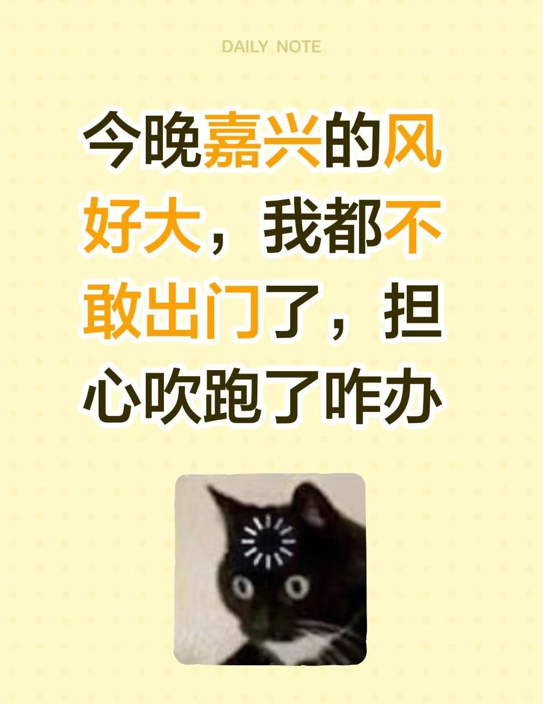 今晚嘉兴的风好大，我都不敢出门了，担心吹跑了咋办浙江嘉兴 嘉兴 骑手 外卖小哥 