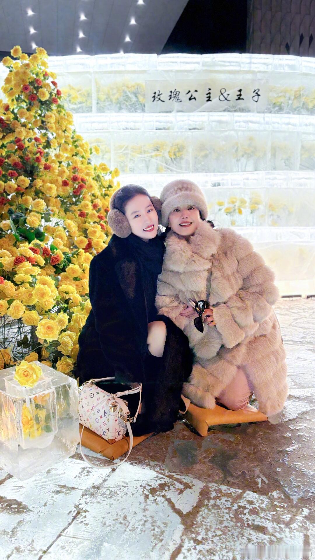 刘亦菲晒和妈妈在哈尔滨的合影[可怜][可怜][可怜]母女两个人都太漂亮了吧，扑面