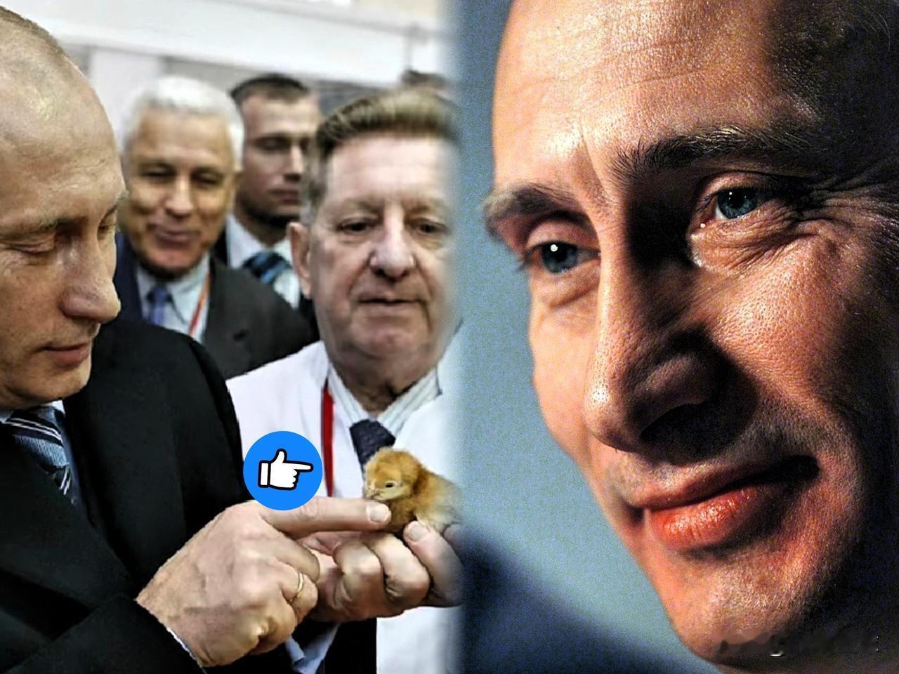 看不下去了！
英国“强硬”表态却无所作为，俄罗斯军舰大摇大摆穿越英吉利海峡，这一