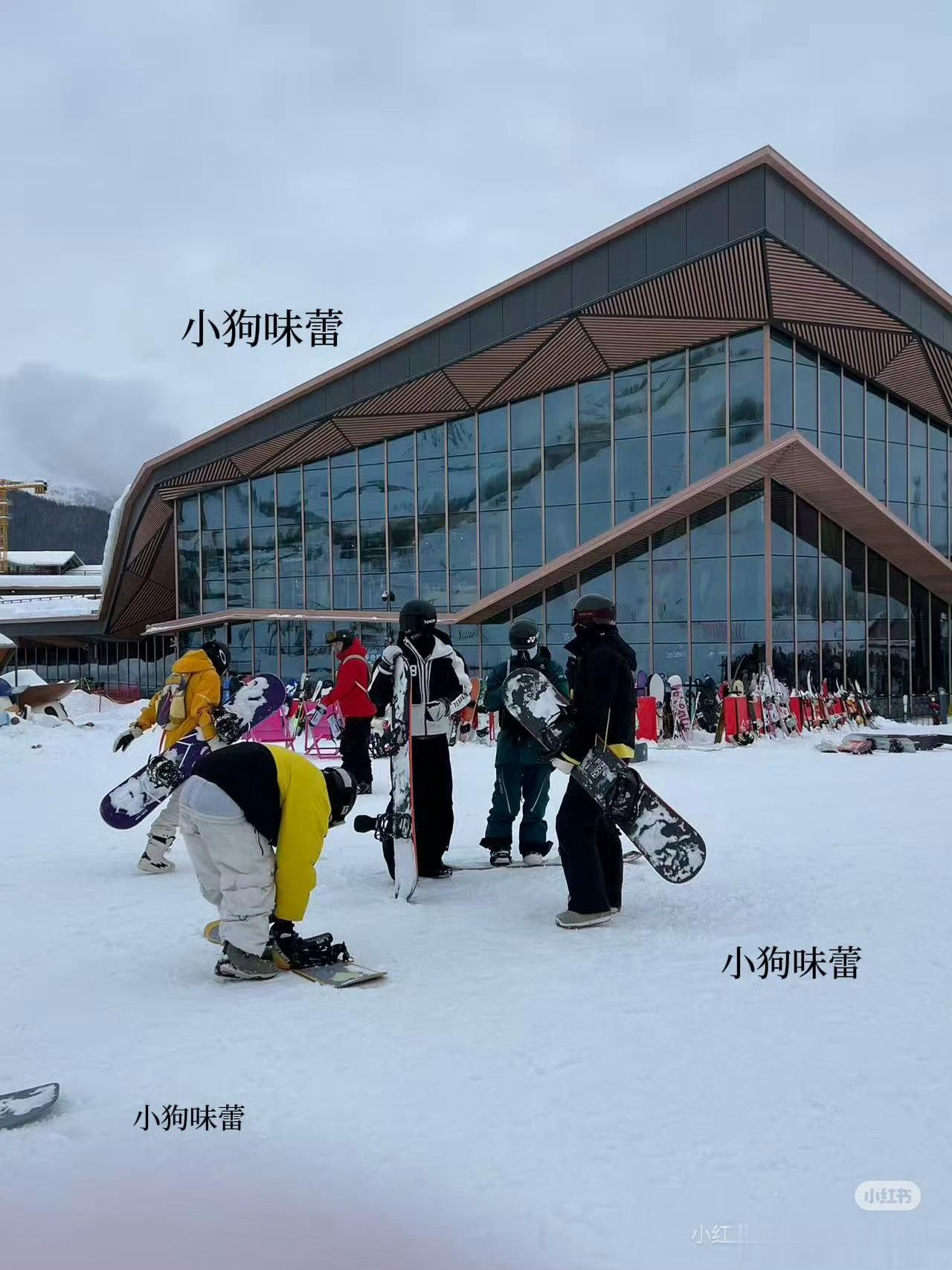 文轩刘耀文与宋亚轩被目击同在新疆阿勒泰滑雪，二人IP地址同步更新至新疆，且宋亚轩