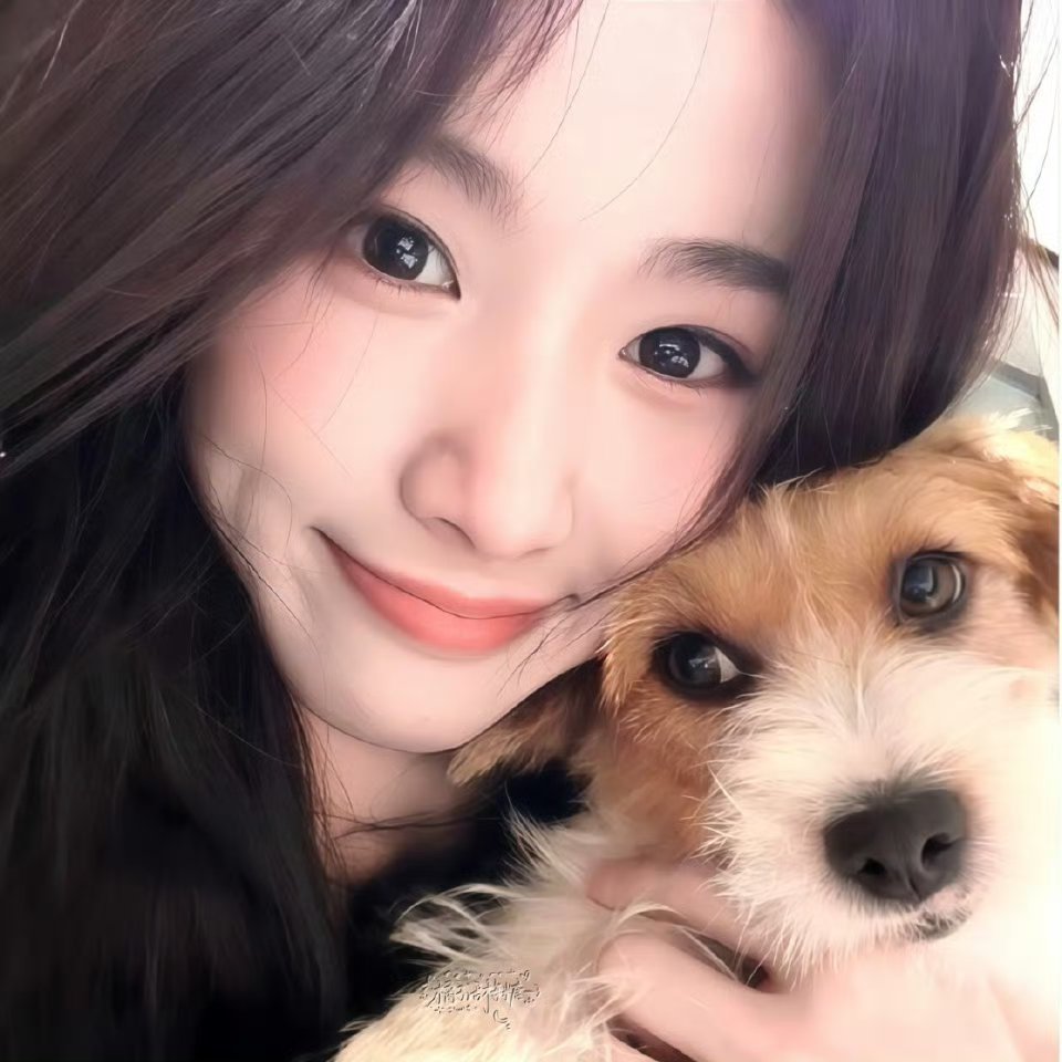 𝗪𝗲𝗖𝗵𝗮𝘁头像分享丨女明星头像丨女生头像丨高级感女头丨陈妍希丨迪丽