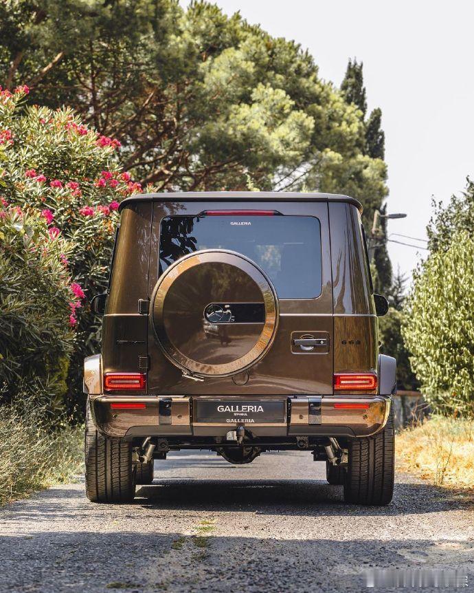 梅赛德斯-AMG G63，喜欢吗？ ​​​