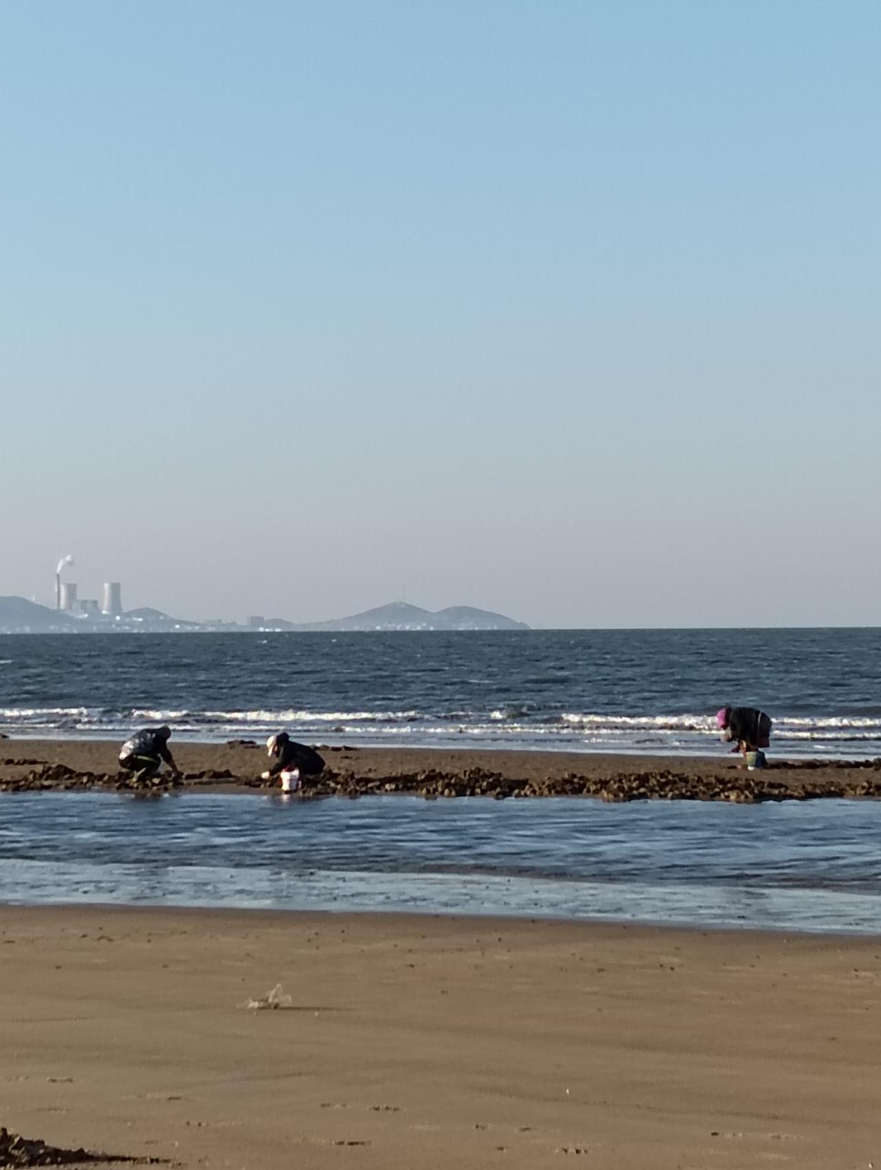 虽然我孤身一人，这时候就像有一位老朋友，在对我敞开心扉，对我呐喊，对我倾诉。《致