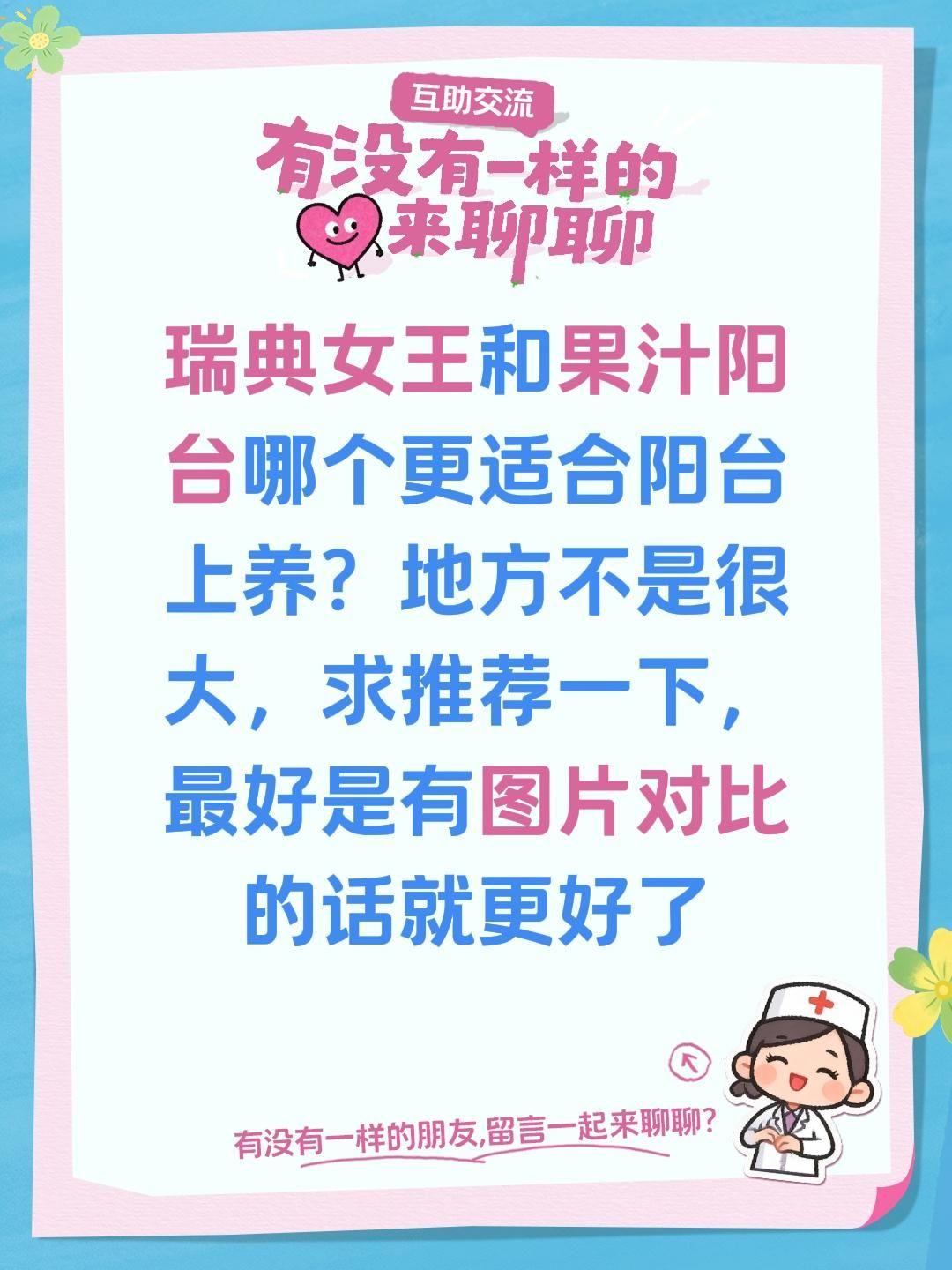 瑞典女王和果汁阳台哪个更适合阳台上养？瑞典女王和果汁阳台哪个更适合阳台上养？地方