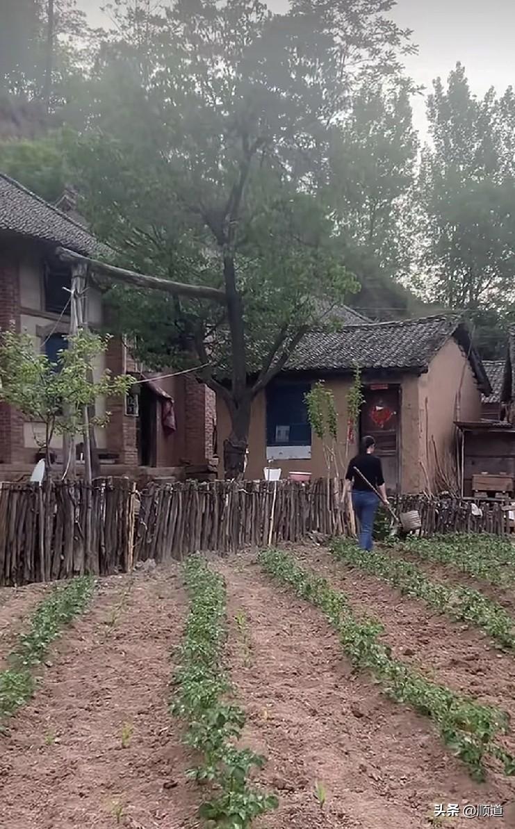 要想让过去没有遗憾的唯一方法就是过好现在，
因为现在就是今后的过去。
这么想来，