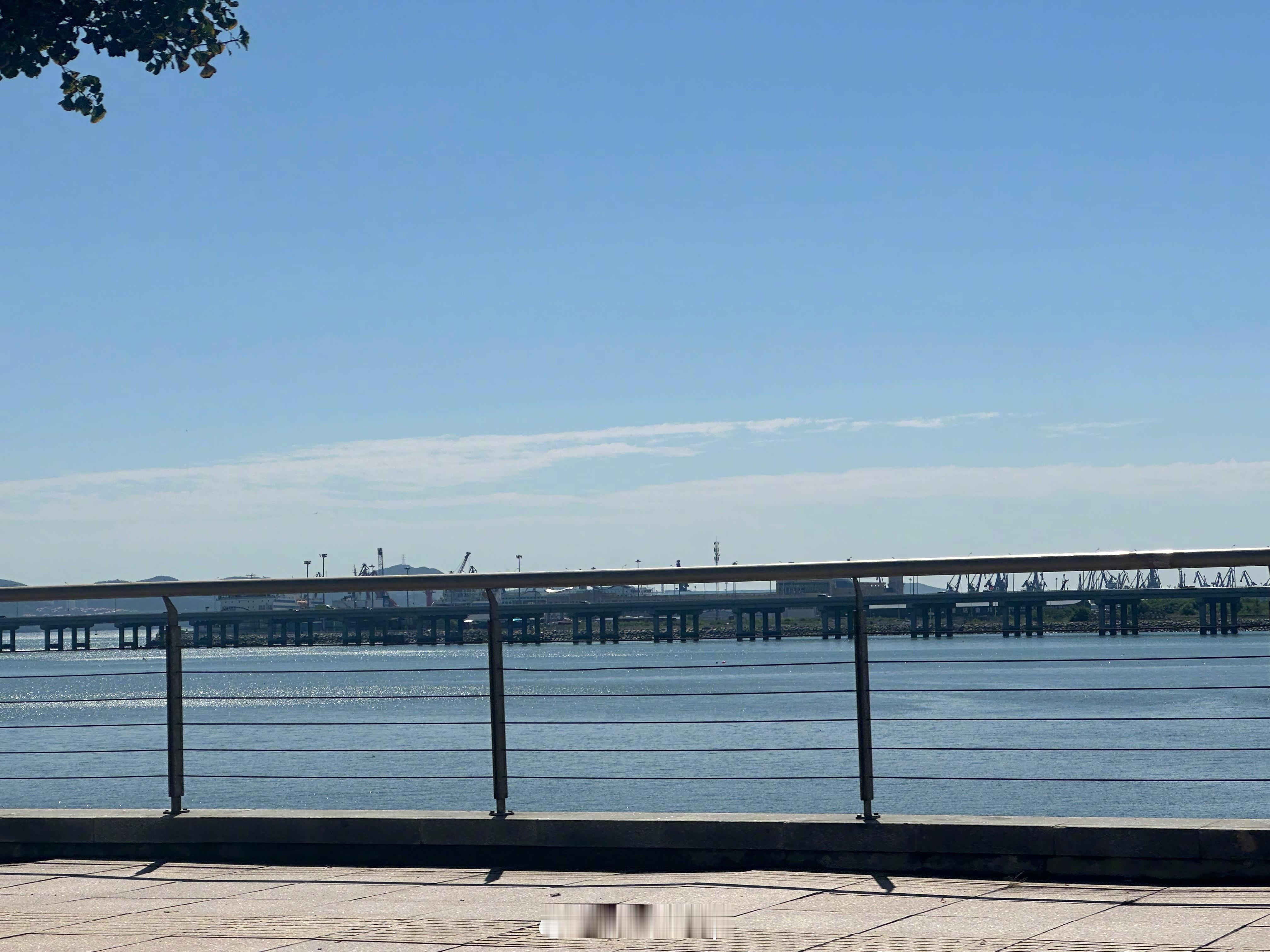 大连真好啊，凉快清爽，还能看大船。还是没有摆脱当司机的命运[doge][doge