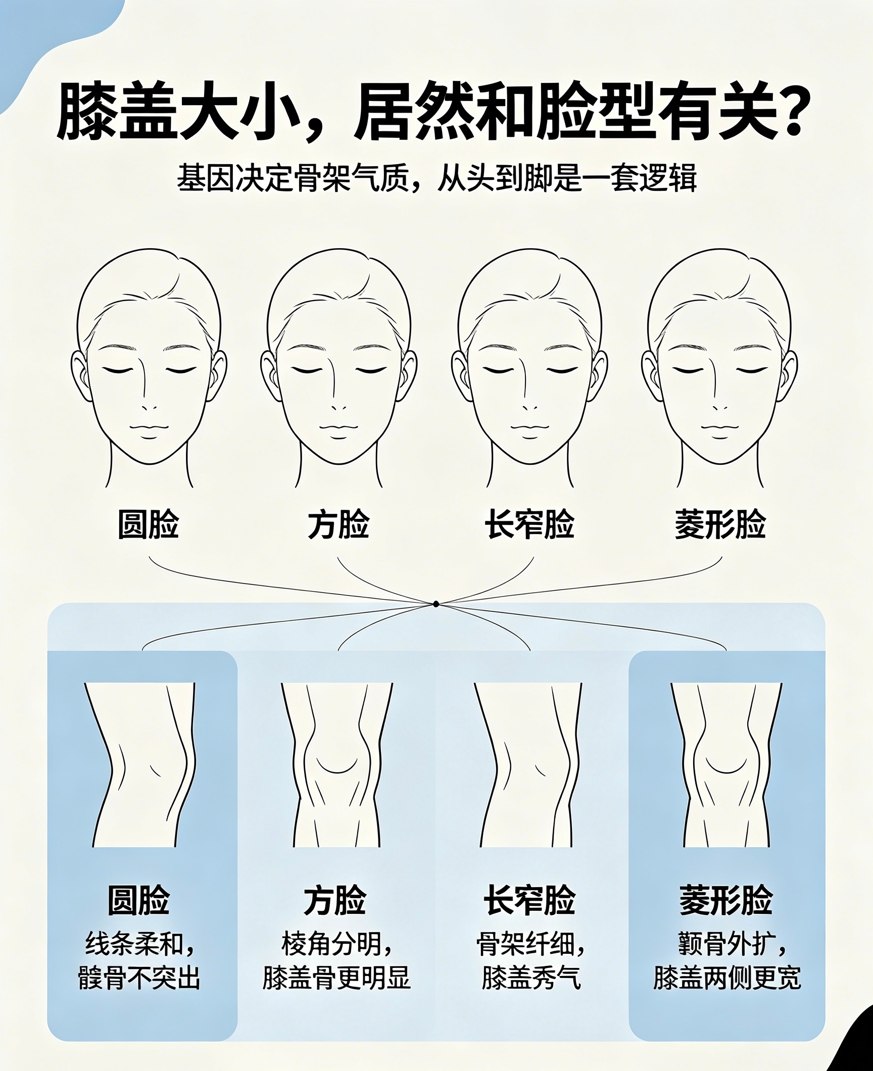膝盖的大小居然和脸型一样p…… 