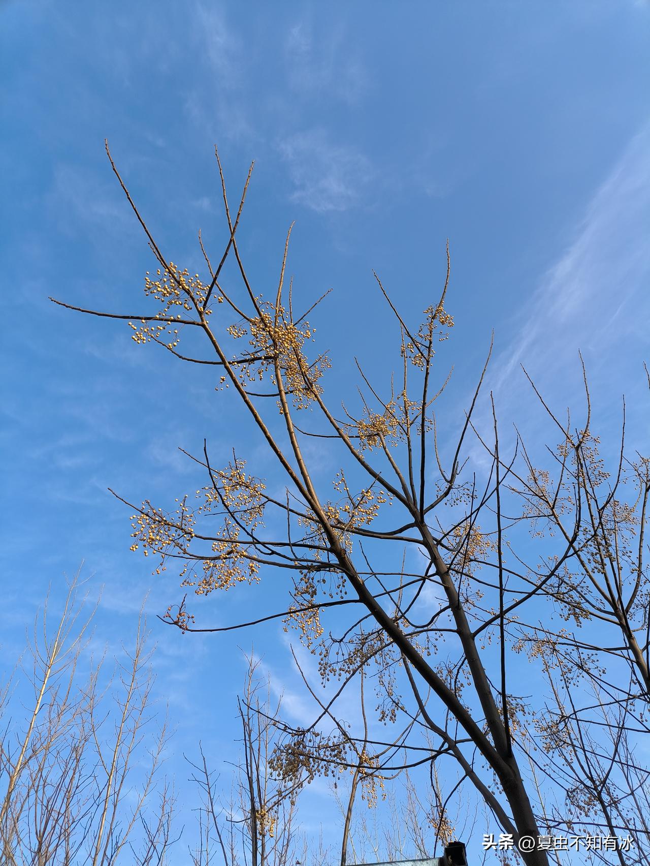 单身汉的晚年生活究竟能有多苦？那其中的滋味，真不是常人所能体会的！
年轻时，尚有