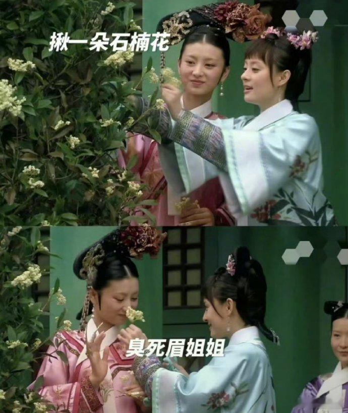嘿，这笑点挺妙！甄嬛曾给眉姐姐摘石楠花，那情节如今看来，真让人忍俊不禁呀。 ​​