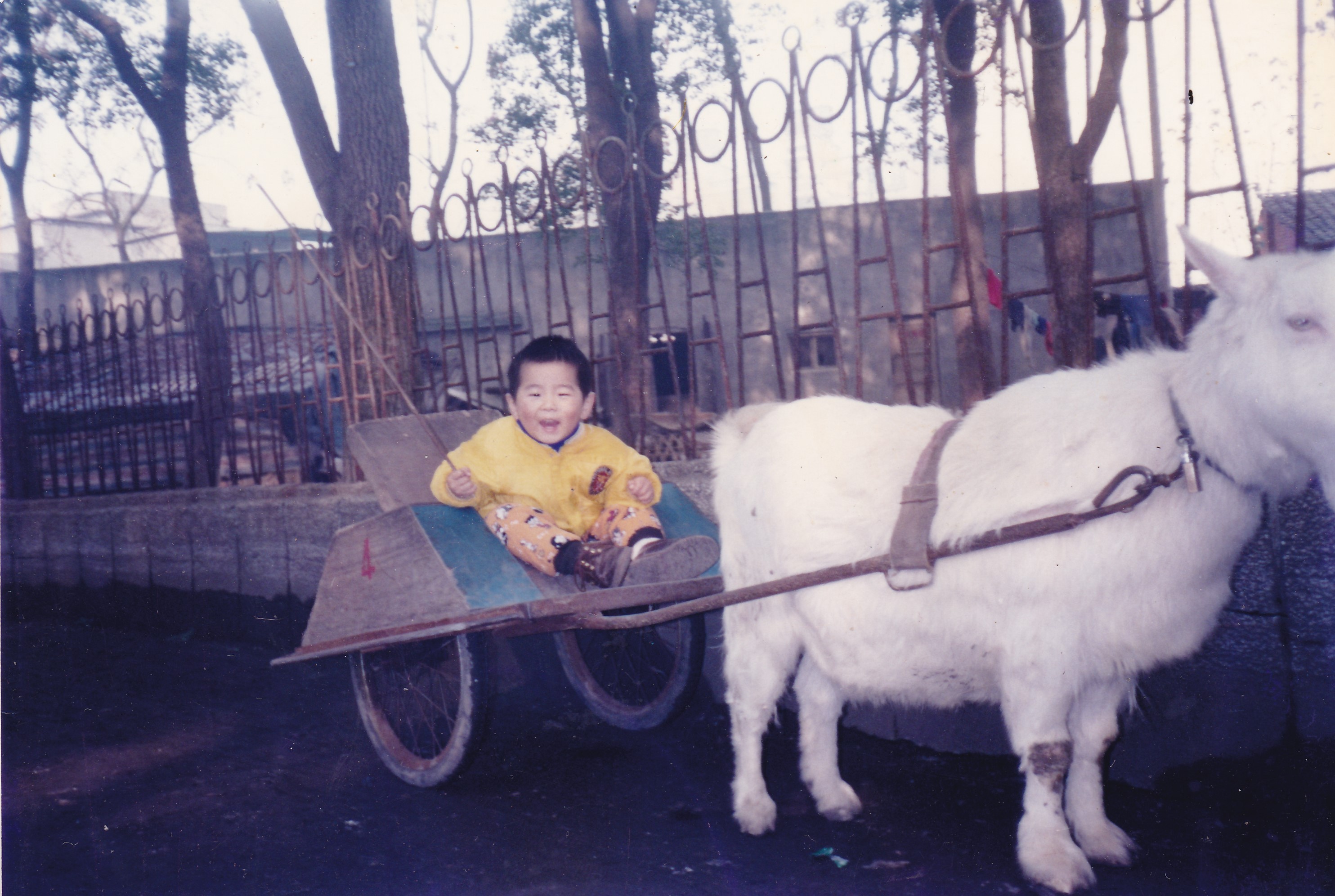 军哥晒，我也晒一个：师兄从小就开车，一看就是老车评人[笑cry]雷军晒童年照 ​