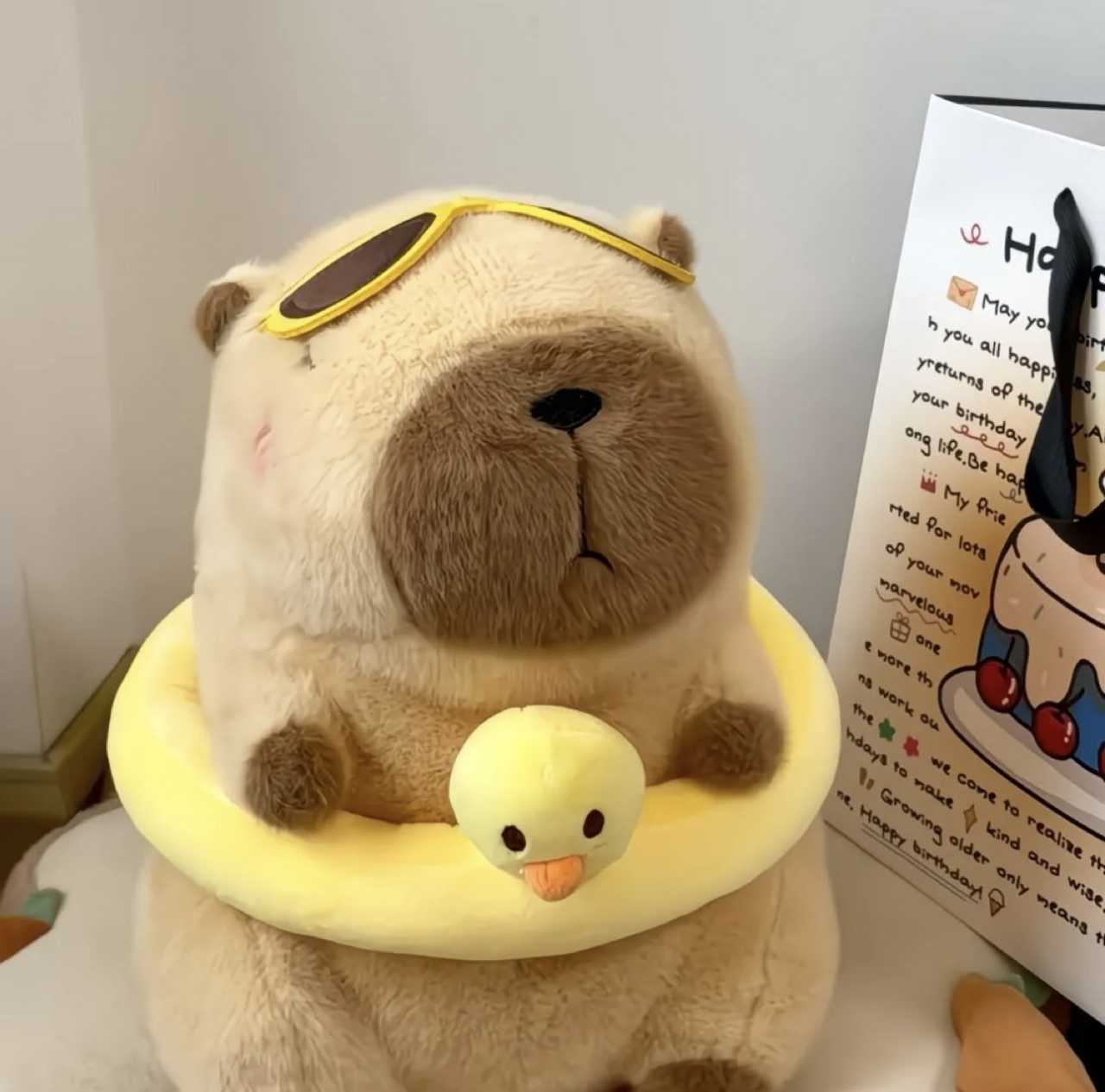 恒温许愿池『卡↗皮↘↗巴拉·生日特别抽奖』水温计宝贝送出卡皮巴拉两只～祝偶们卡比