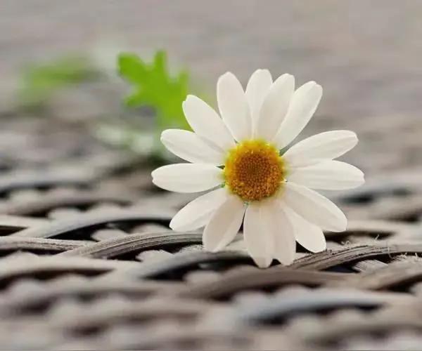 不知道什么时候开始，找男友找老公的标准变了。
以前的标准是人要上进、勤劳，之后发